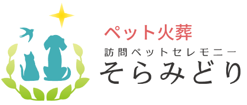 soramidori-logo